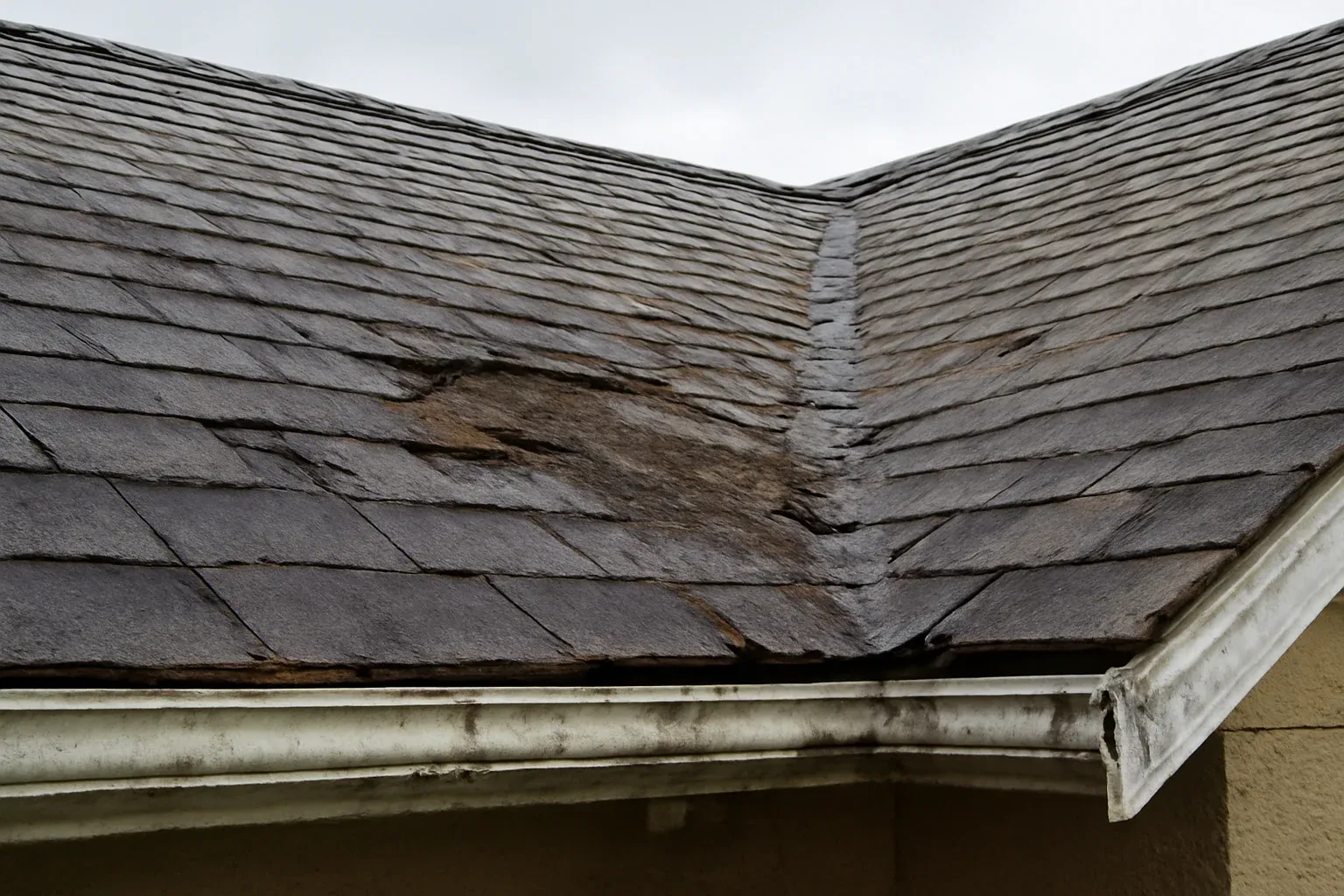 Roof detail supporting twelve warning signs your roof may be leaking